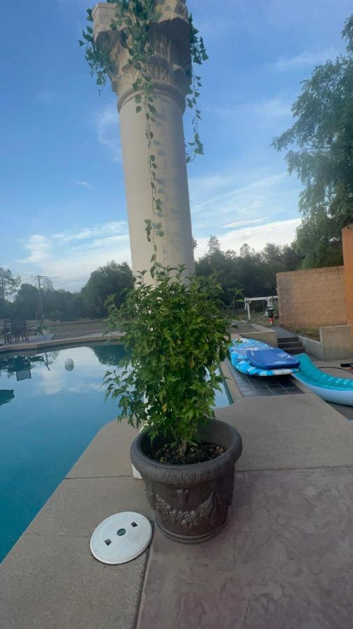 The Oasis Daire Redding Dış mekan fotoğraf